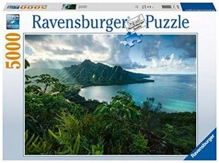 Пазл Ravensburger Hawaii, 5000 д. цена и информация | Пазлы | pigu.lt