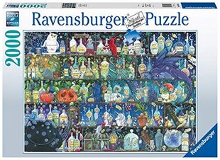 Dėlionė eliksyrai Ravensburger, 2000 d. kaina ir informacija | Dėlionės (puzzle) | pigu.lt