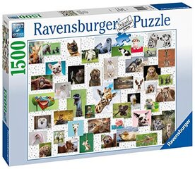 Dėlionė juokingi gyvūnai Ravensburger 16711, 1500 d. kaina ir informacija | Dėlionės (puzzle) | pigu.lt