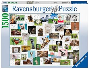 Dėlionė juokingi gyvūnai Ravensburger 16711, 1500 d. kaina ir informacija | Dėlionės (puzzle) | pigu.lt