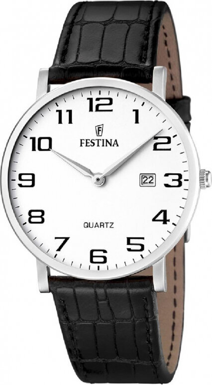 Laikrodis moterims Festina F16476/1 цена и информация | Moteriški laikrodžiai | pigu.lt