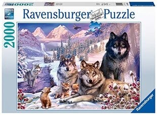 Пазл Ravensburger Wolves in the Snow, 2000 д. цена и информация | Пазлы | pigu.lt