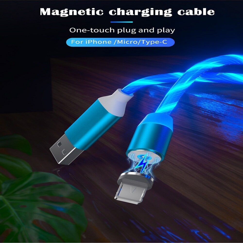 Litelife Magnetic, USB Type C, 1 m kaina ir informacija | Laidai telefonams | pigu.lt