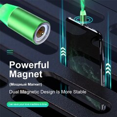 Litelife Magnetic, USB Type C, 1 m kaina ir informacija | Laidai telefonams | pigu.lt