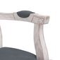 vidaXL Valgomojo kėdė, tamsiai pilka, 62x59,5x100,5cm, aksomas kaina ir informacija | Virtuvės ir valgomojo kėdės | pigu.lt