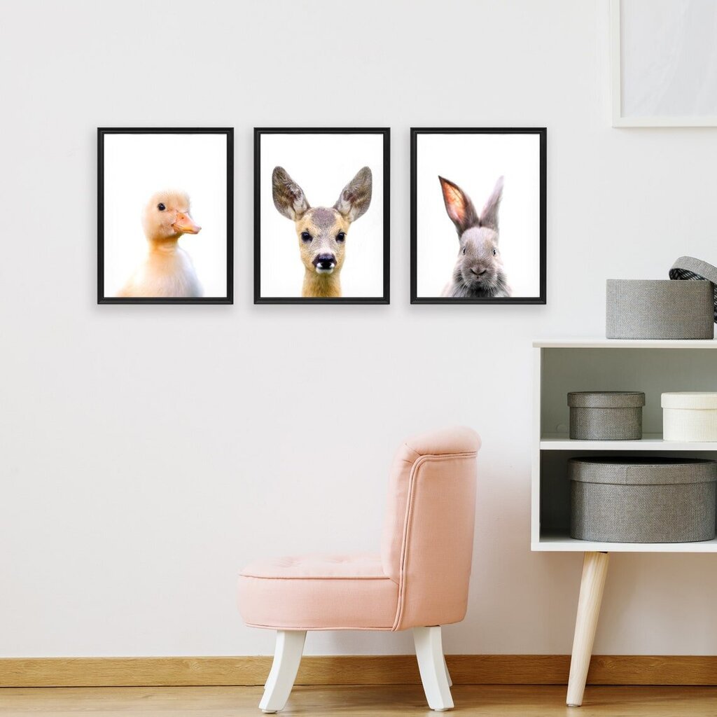 Trijų dalių plakatas Maži gyvūnai kaina ir informacija | Reprodukcijos, paveikslai | pigu.lt