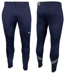 Puma sportinės kelnės vyrams teamFinal Training 657380 06, mėlynos цена и информация | Мужская спортивная одежда | pigu.lt