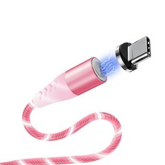 Litelife Magnetic, USB Type C, 1 m kaina ir informacija | Laidai telefonams | pigu.lt