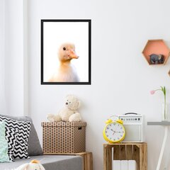 Plakatas Little Duck kaina ir informacija | Reprodukcijos, paveikslai | pigu.lt