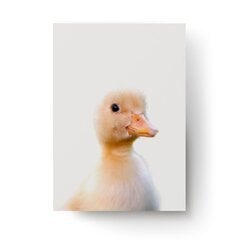 Plakatas Little Duck kaina ir informacija | Reprodukcijos, paveikslai | pigu.lt