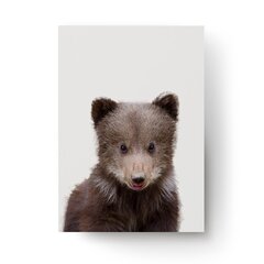 Plakatas Little Bear kaina ir informacija | Reprodukcijos, paveikslai | pigu.lt