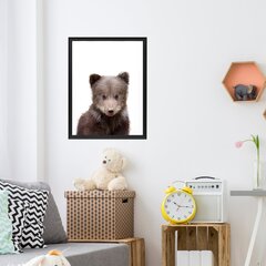 Plakatas Little Bear kaina ir informacija | Reprodukcijos, paveikslai | pigu.lt