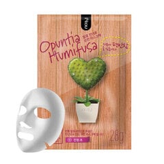 NOHJ Opuntia Humifusa Успокаивающая тканевая маска для лица, 28 г цена и информация | Маски для лица, патчи для глаз | pigu.lt
