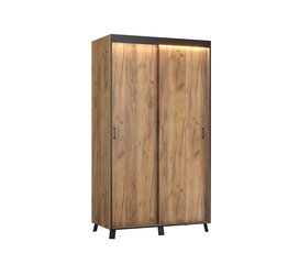Spinta su LED apšvietimu ADRK Furniture Bergamo, 120 cm, ruda kaina ir informacija | Spintos | pigu.lt