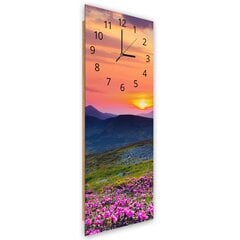 Настенные часы, Горный луг на закате, 40x118см цена и информация | Часы | pigu.lt