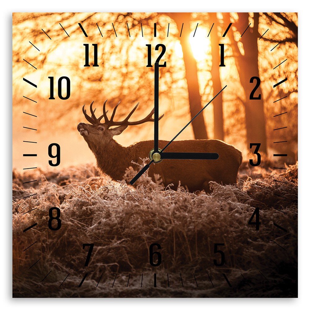 Sieninis laikrodis Elnias saulės šviesoje kaina ir informacija | Laikrodžiai | pigu.lt