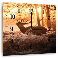 Sieninis laikrodis Elnias saulės šviesoje kaina ir informacija | Laikrodžiai | pigu.lt