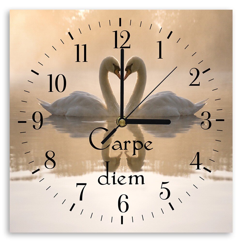 Sieninis laikrodis Įsimylėjusios gulbės kaina ir informacija | Laikrodžiai | pigu.lt