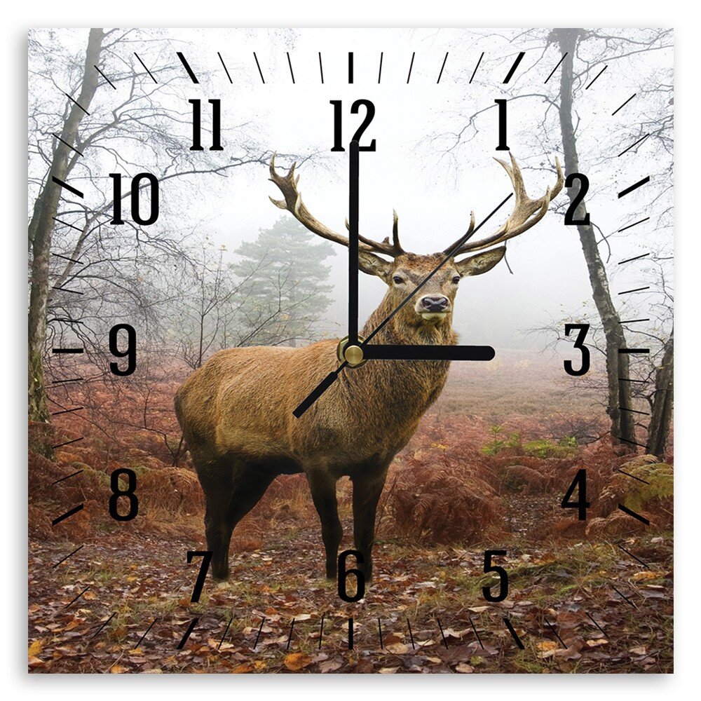 Sieninis laikrodis Elnias kaina ir informacija | Laikrodžiai | pigu.lt