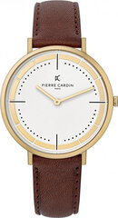 Мужские часы Pierre Cardin CBV-1031 цена и информация | Мужские часы | pigu.lt