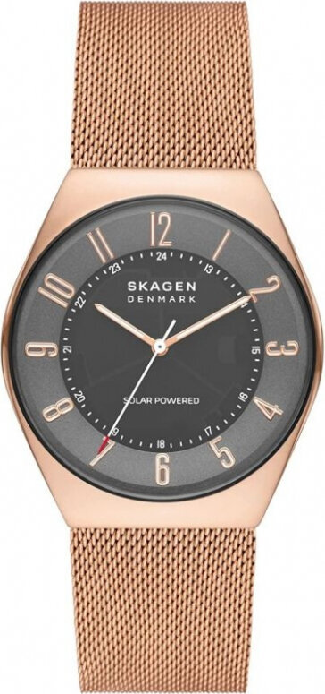 Laikrodis vyrams Skagen SKW6835 цена и информация | Vyriški laikrodžiai | pigu.lt