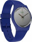 Laikrodis vyrams Swatch SO28N100 kaina ir informacija | Vyriški laikrodžiai | pigu.lt