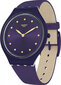 Laikrodis vyrams Swatch SVUV102 цена и информация | Vyriški laikrodžiai | pigu.lt