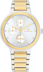 Laikrodis vyrams Tommy Hilfiger 1782534 цена и информация | Мужские часы | pigu.lt
