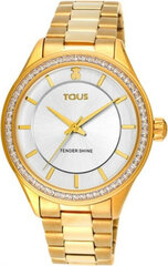 Laikrodis vyrams Tous 200350520 цена и информация | Мужские часы | pigu.lt