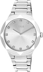 Laikrodis vyrams Tous 200351052 цена и информация | Мужские часы | pigu.lt