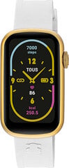 Laikrodis vyrams Tous 200351091 цена и информация | Мужские часы | pigu.lt