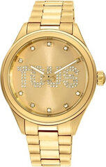 Laikrodis vyrams Tous 200351112 цена и информация | Мужские часы | pigu.lt