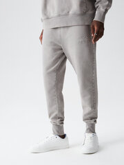 мужские спортивные штаны ath sp 323 p1345 - серый цена и информация | Мужская спортивная одежда | pigu.lt