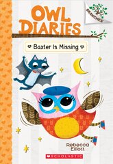Baxter Is Missing: A Branches Book (Owl Diaries #6): Volume 6 цена и информация | Книги для подростков и молодежи | pigu.lt