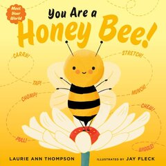 You Are a Honey Bee! цена и информация | Книги для малышей | pigu.lt