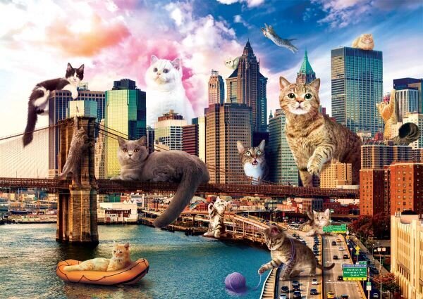 Dėlionė su katėmis ir vaizdu į Niujorka Trefl, 1000 d kaina ir informacija | Dėlionės (puzzle) | pigu.lt