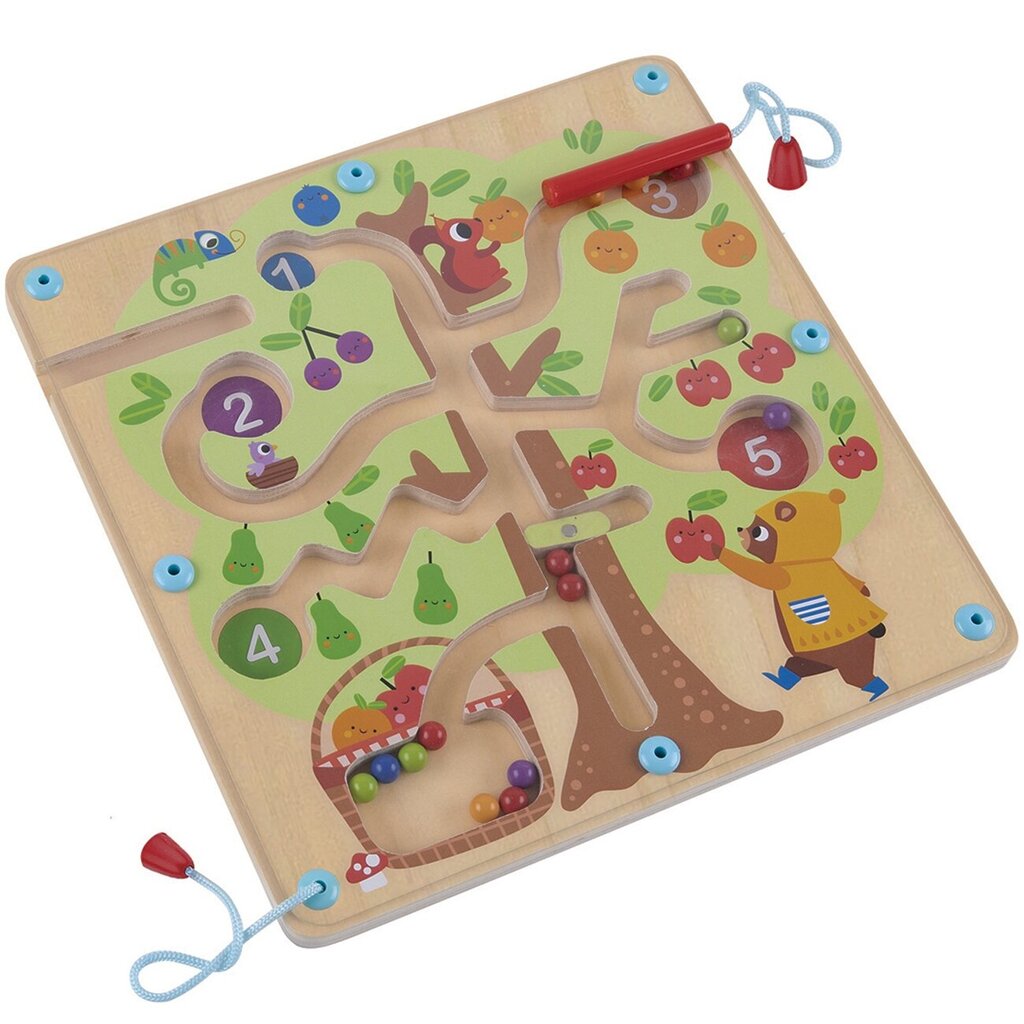 Magnetinis labirintas Tooky Toys kaina ir informacija | Stalo žaidimai, galvosūkiai | pigu.lt