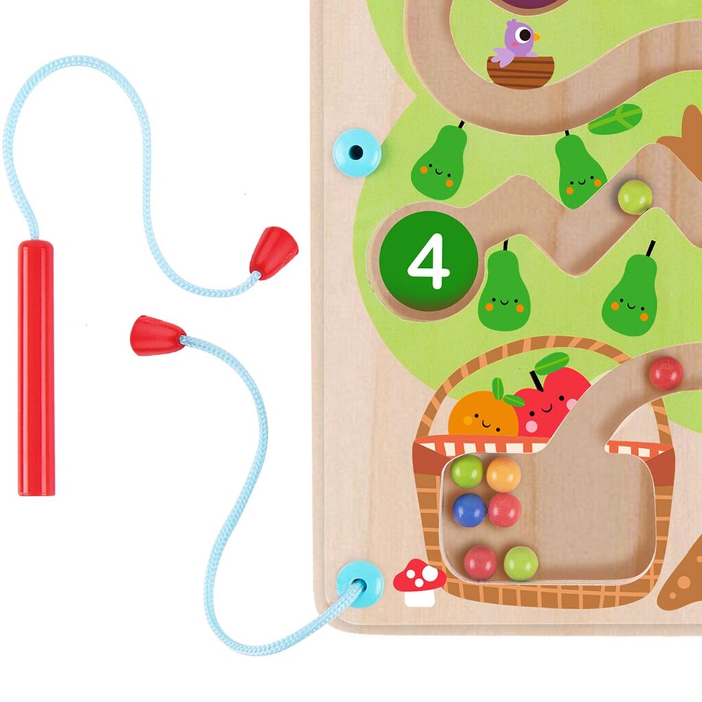 Magnetinis labirintas Tooky Toys kaina ir informacija | Stalo žaidimai, galvosūkiai | pigu.lt