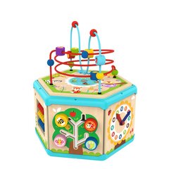 Interaktyvus medinis šešiakampis Montessori Tooky Toy kaina ir informacija | Lavinamieji žaislai | pigu.lt