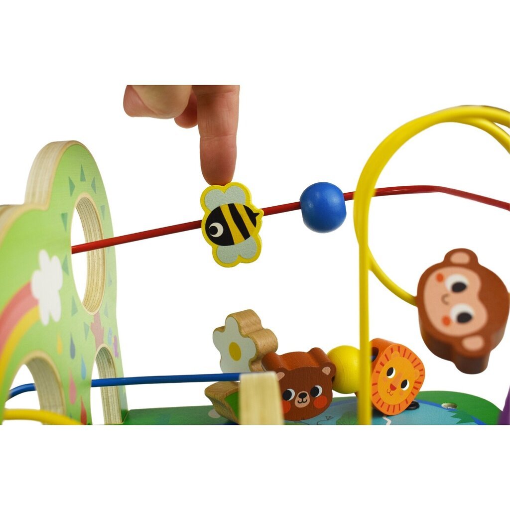 Medinis kilpų labirintas Tooky Toy kaina ir informacija | Žaislai kūdikiams | pigu.lt