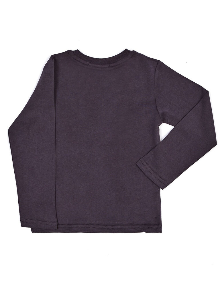 Megztinis berniukams Toontoy, 2016101009703 kaina ir informacija | Megztiniai, bluzonai, švarkai berniukams | pigu.lt