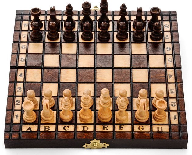 Šachmatai, 20 x 20 cm kaina ir informacija | Stalo žaidimai, galvosūkiai | pigu.lt