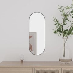 Sieninis veidrodis, 15x40cm, stiklas, ovalo formos kaina ir informacija | Veidrodžiai | pigu.lt