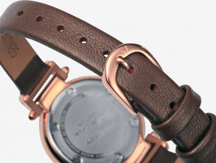 Laikrodis vyrams Viceroy 471050-05 цена и информация | Мужские часы | pigu.lt