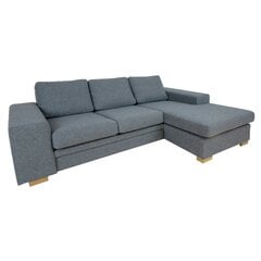 Угловой диван DAGMAR темно-серый цена и информация | Угловые диваны | pigu.lt