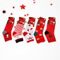 Kalėdinės moteriškos kojinės Pesail, įvairių spalvų, 5 poros kaina ir informacija | Moteriškos kojinės | pigu.lt
