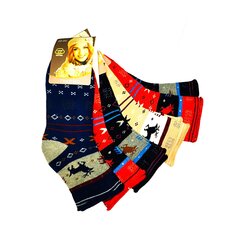 Termo kojinės moterims Bixtra, įvairių spalvų, 6 poros kaina ir informacija | Moteriškos kojinės | pigu.lt