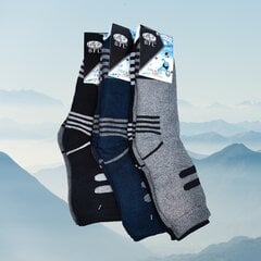 Termo kojinės vyrams, įvairių spalvų, 6 poros kaina ir informacija | Vyriškos kojinės | pigu.lt