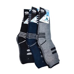 Термоноски мужские, различных цветов, 6 пар цена и информация | Мужские носки | pigu.lt