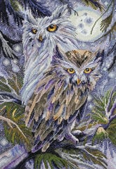 Siuvinejimo Rinkinys Abris Art Owls AH-032 kaina ir informacija | Siuvinėjimo priemonės | pigu.lt